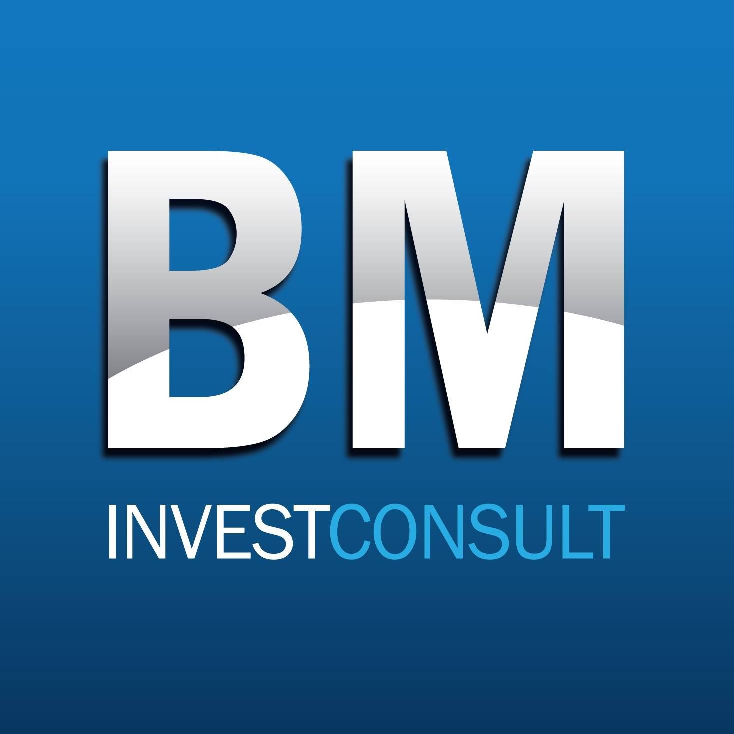 BM InvestConsult Co.