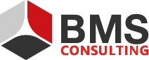 BMS Berens Mosiek Siemes Consulting