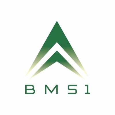 BMS1 Solution