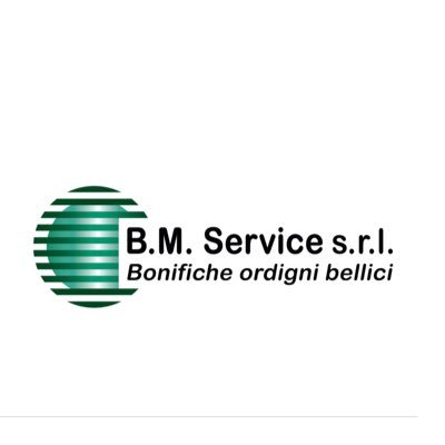 BM SERVICE SRL