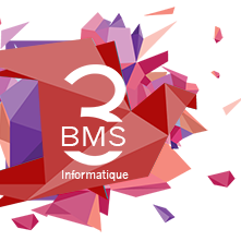 BMS Informatique