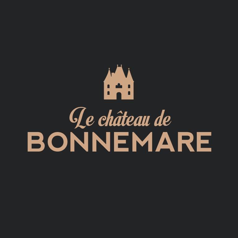 Château De Bonnemare