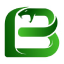 Boomslang Agency