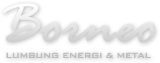 PT Borneo Lumbung Energi & Metal