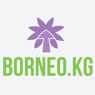 Интернет Курорт Borneo.KG