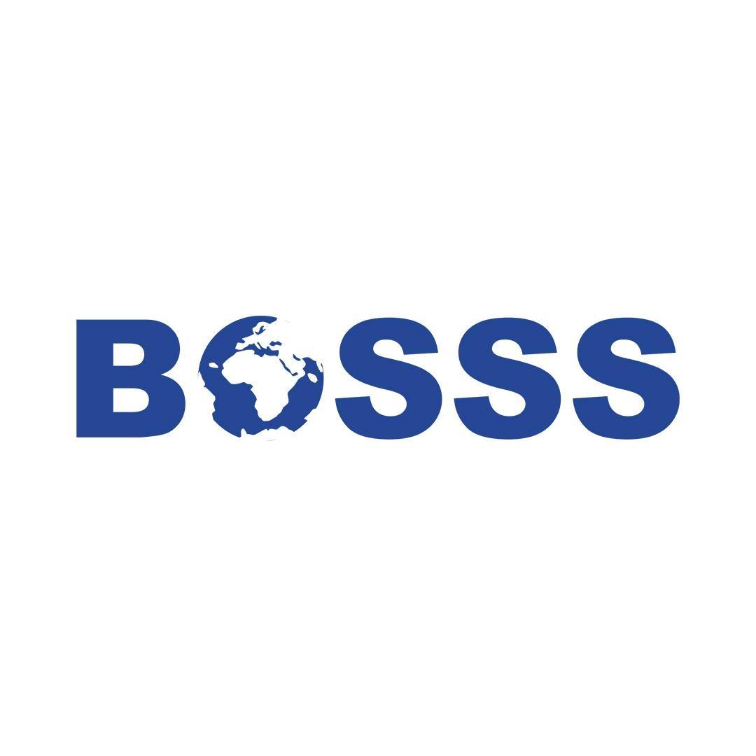 Bosss Marine