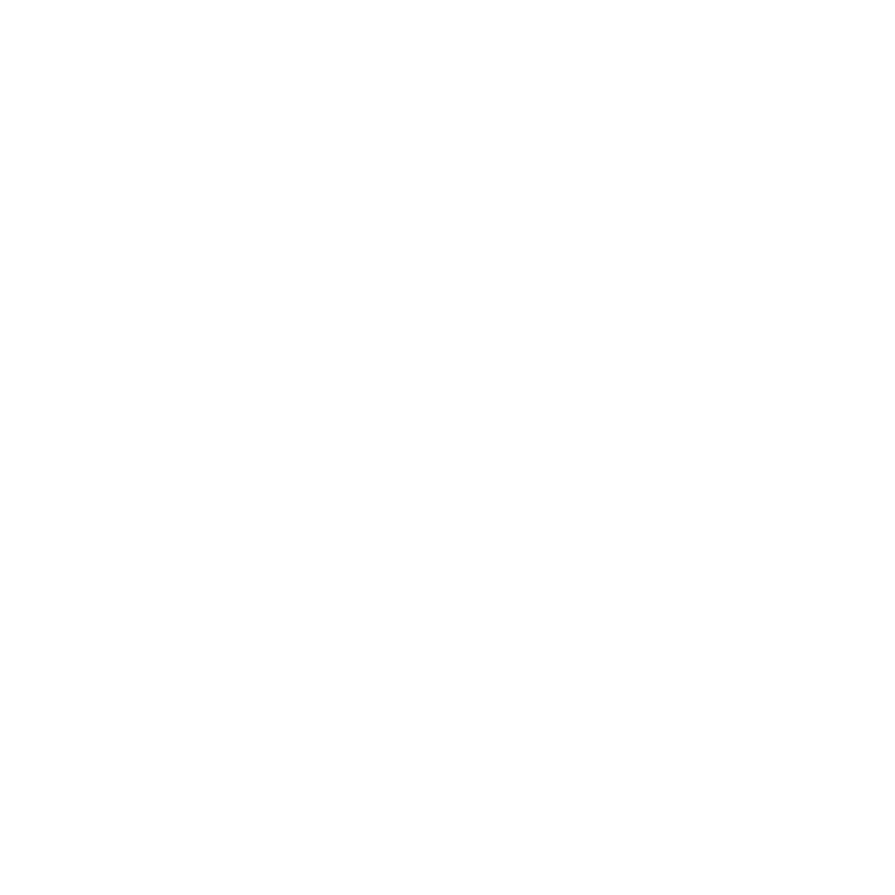 Bouldering Project