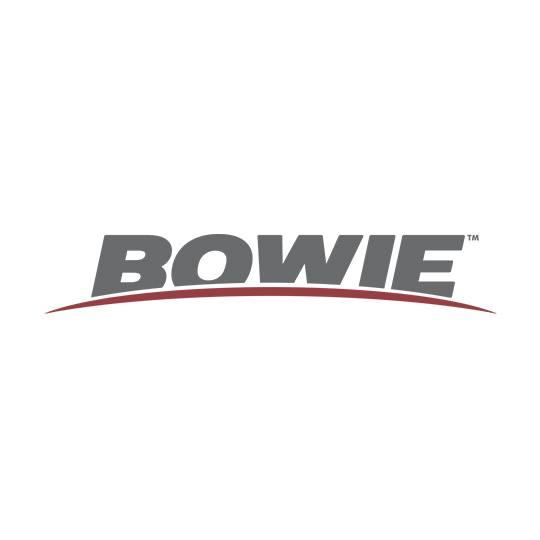 Bowie International