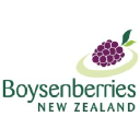 Boysenberries New Zealand