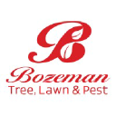 Bozeman Tree