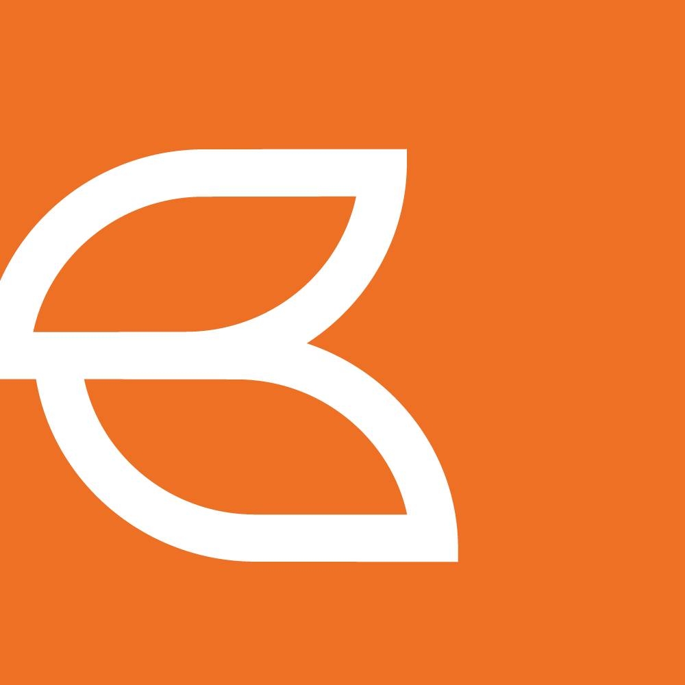 BPB bank