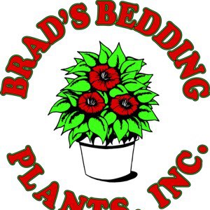 Brad's Bedding Plants