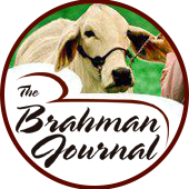 Brahman Journal