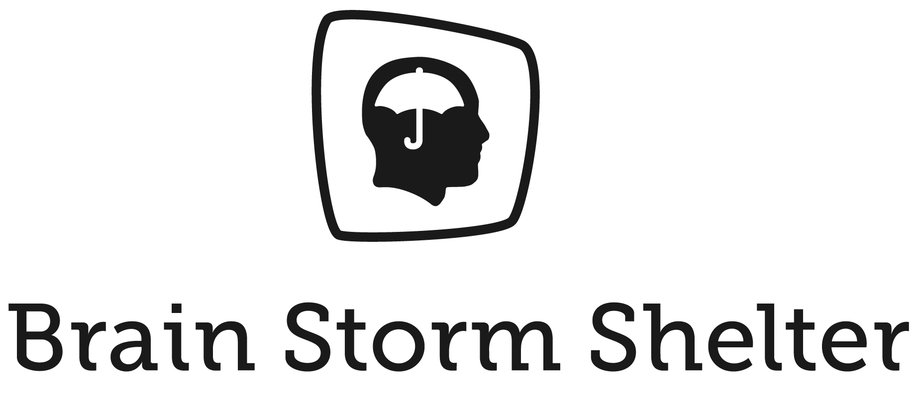 BRAIN STORM SHELTER