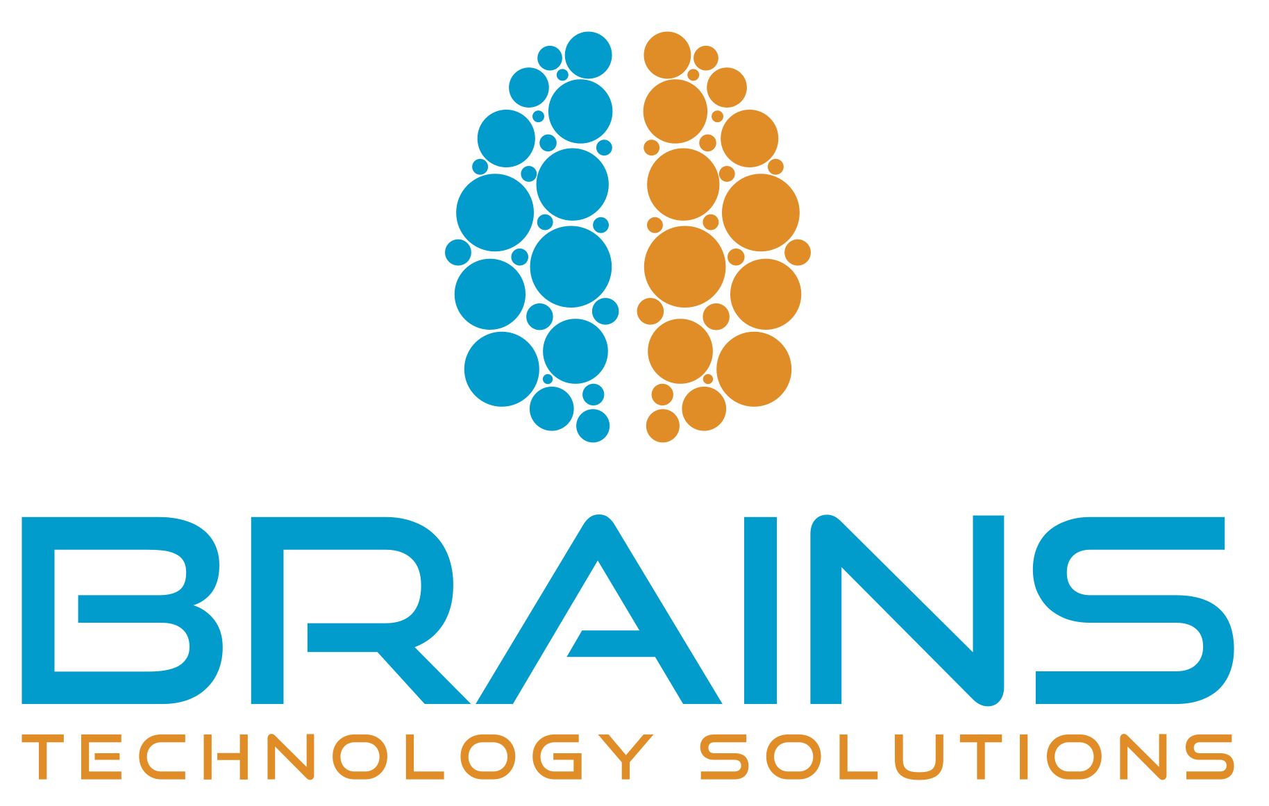 BRAINS TECHNOLOGY SOlUTIONS