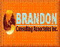 Brandon Consulting Limited