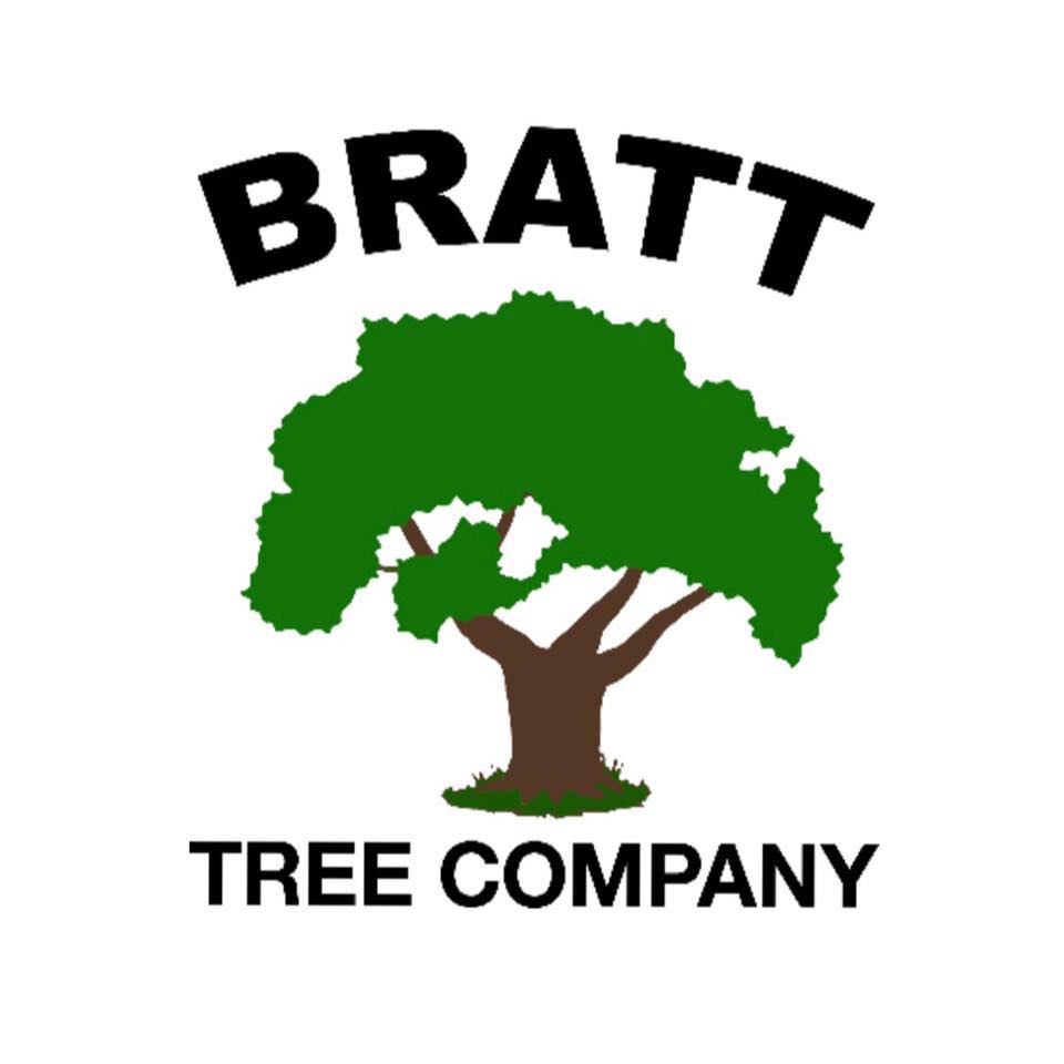 Bratt Tree