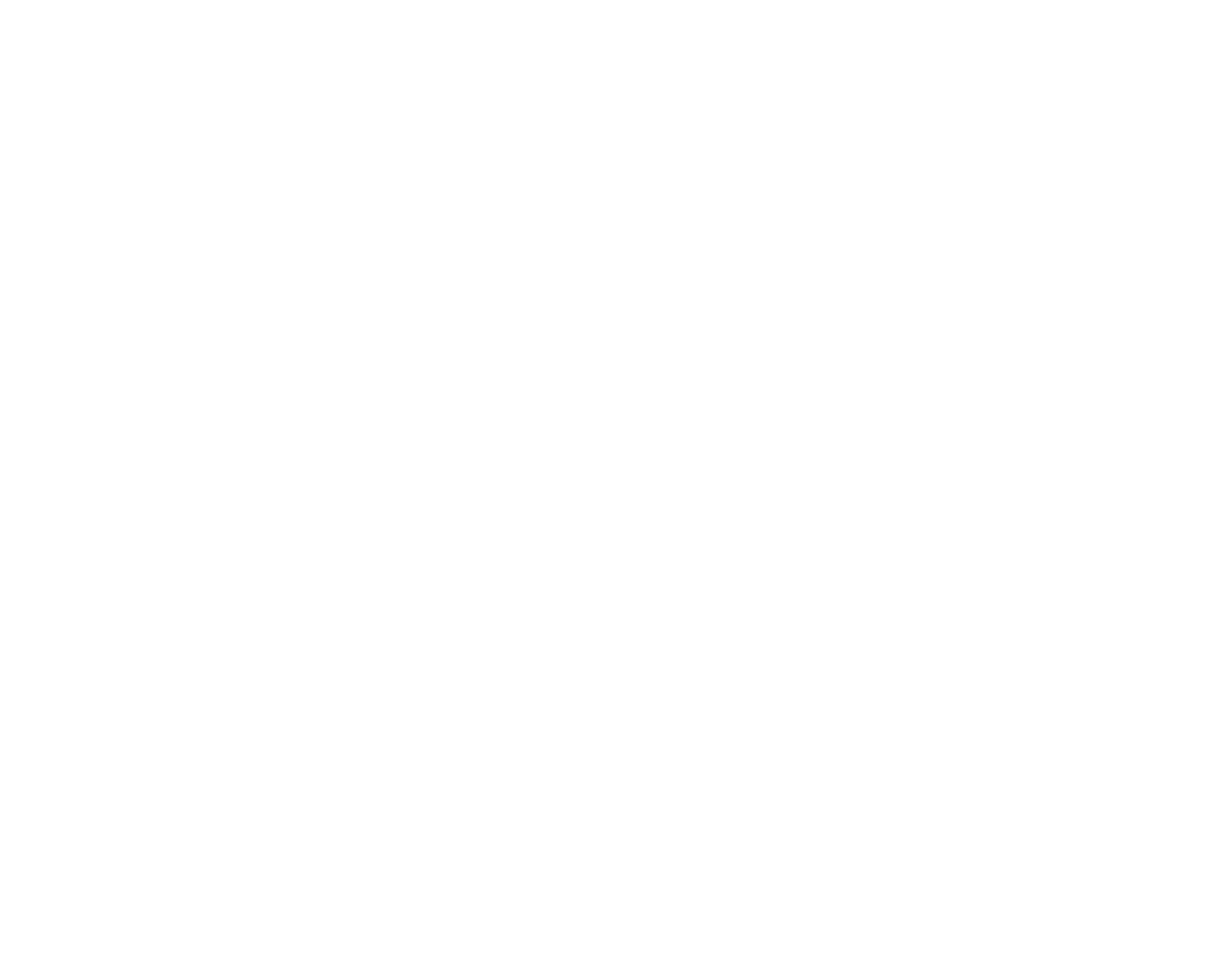 BraveTurtles Inc.