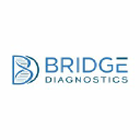 Bridge Diagnostics