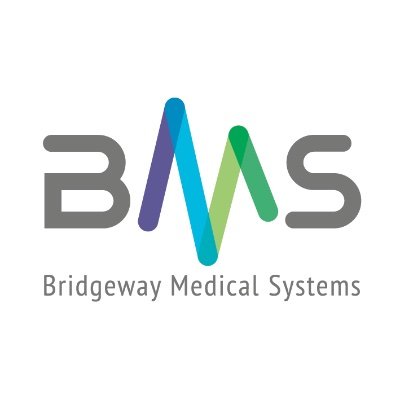 Bridgeway Medical Systems