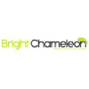 Bright Chameleon