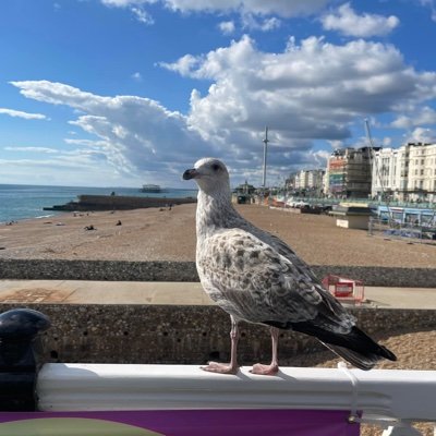 Brighton Pier