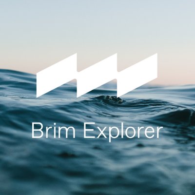 Brim Explorer