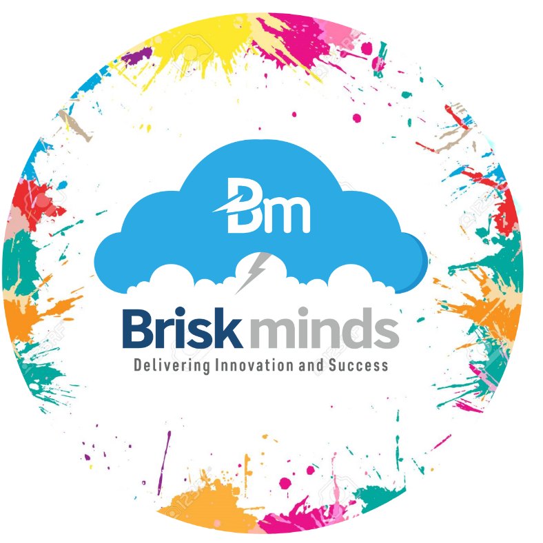 Briskminds Softwares Pvt