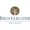 Bristlecone Advisors