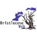 Bristlecone Web