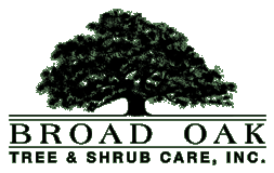 Broad Oak Tree & Shrub Care