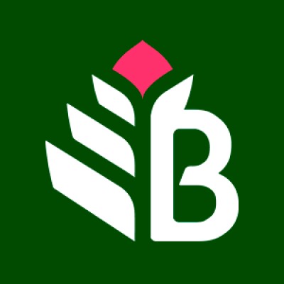 Bromelia Capital