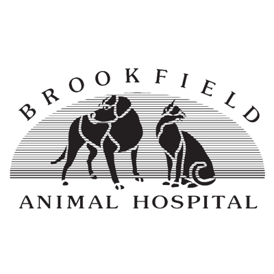 Brookfield Animal Hospital