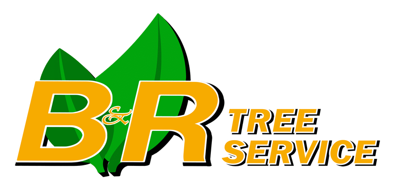 B & R Tree Service