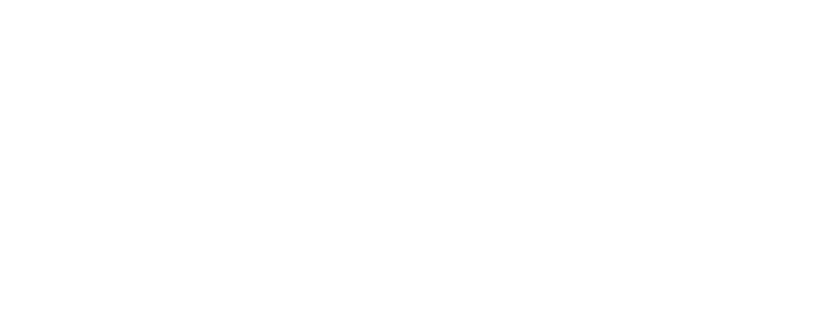 Bruneau