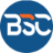 BSC Analytics