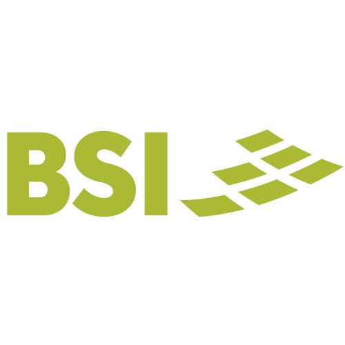 BSI