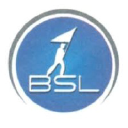 BSL Consulting