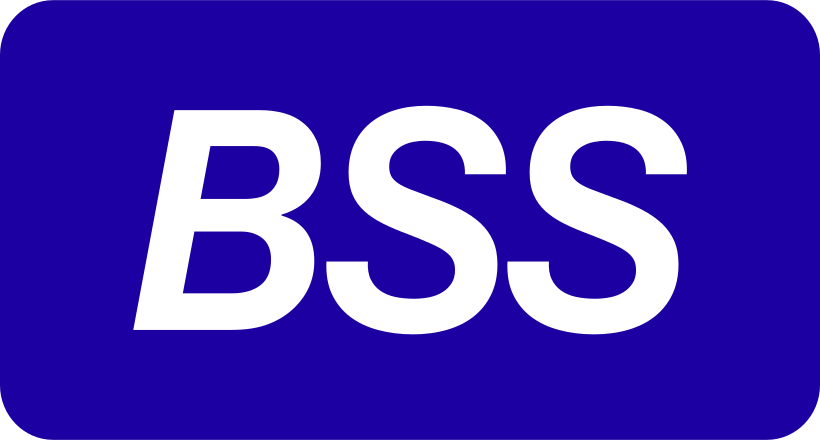 Bank Soft Systems (Bss)