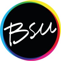 Bsu.it