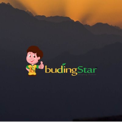 Budding Star Innovations