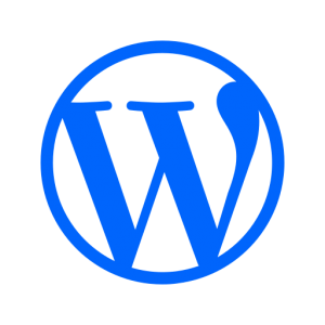 WordPress & SEO Uzmanı - Buğra Yazar