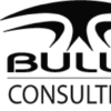 Bulle Consulting