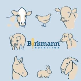 Burkmann Industries