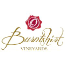 Burntshirt Vineyards