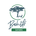 Bushlife Safaris