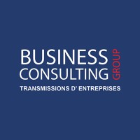 Business Consulting Group Mt