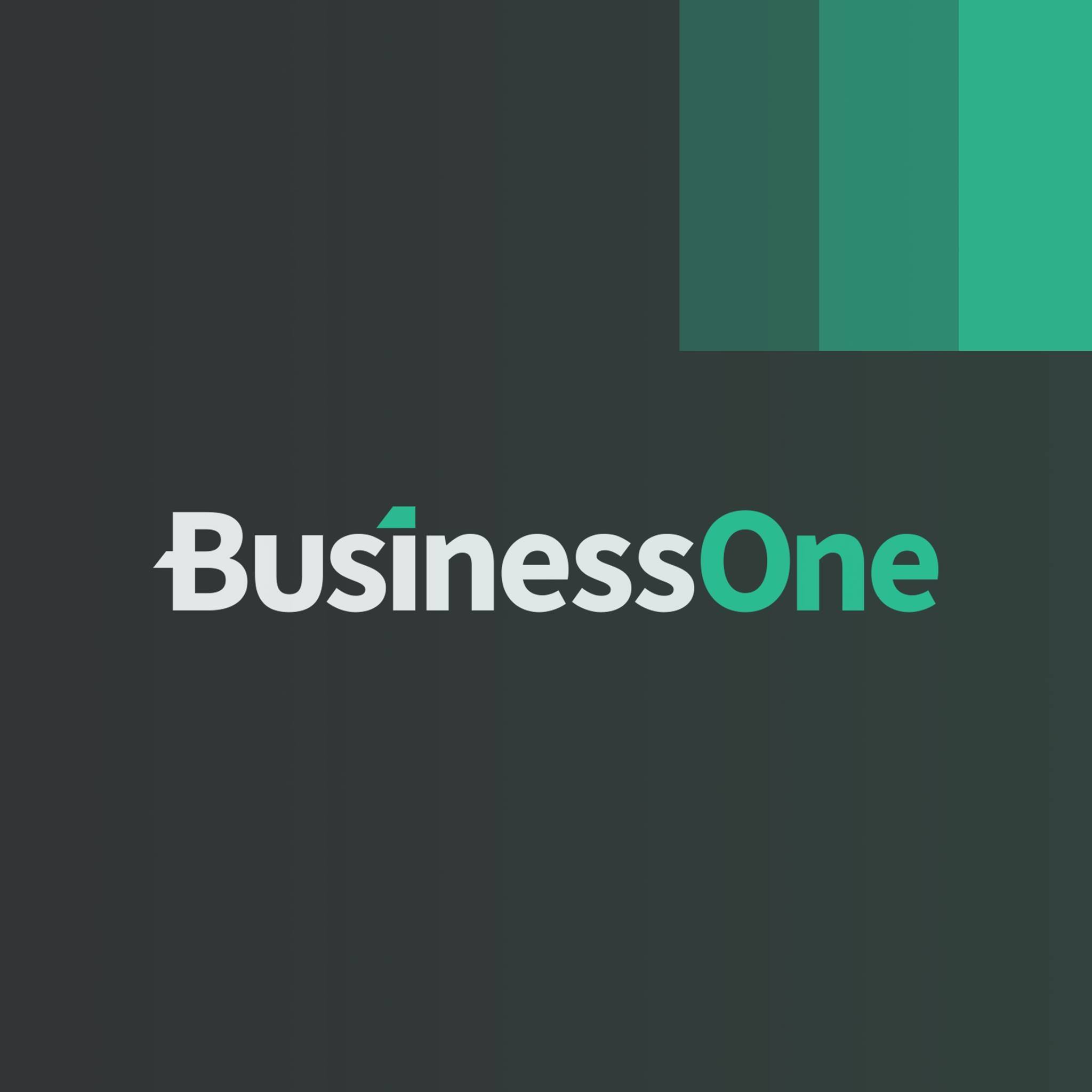 Business One B.V.