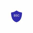 Business Security Consultants