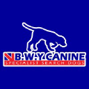 B.W.Y Canine